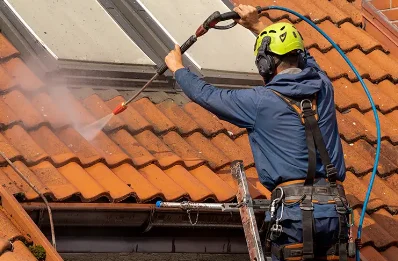 Démoussage et hydrofuge de toiture à Vitreux